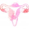 iStock-gyneco